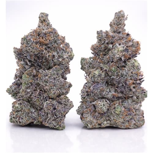 Saddam Hussein 7g - Image 1