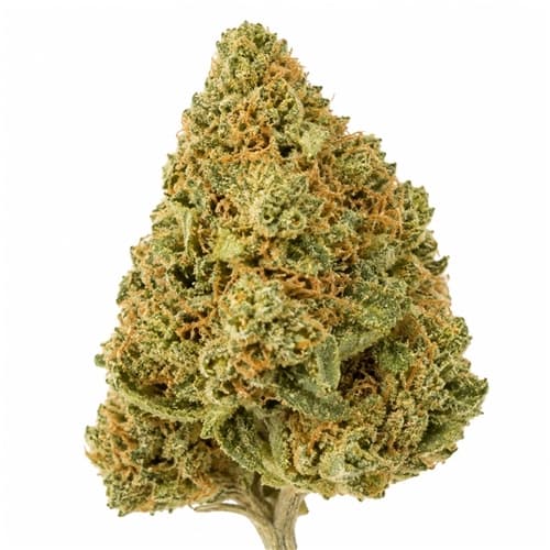 Lemon Skunk 28g Default - Image 1