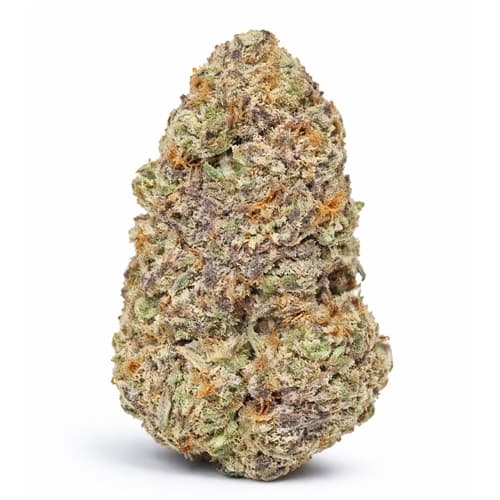 Sunset Sherbert