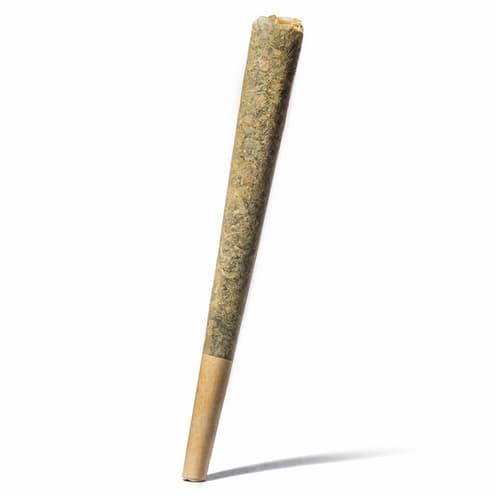 Pre Roll Low Grade Default - Image 1