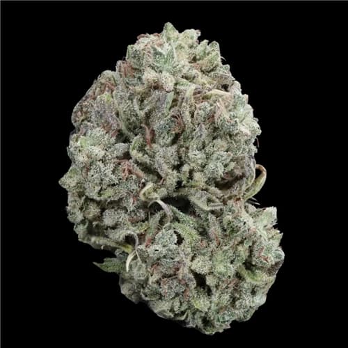 28g tuna kush