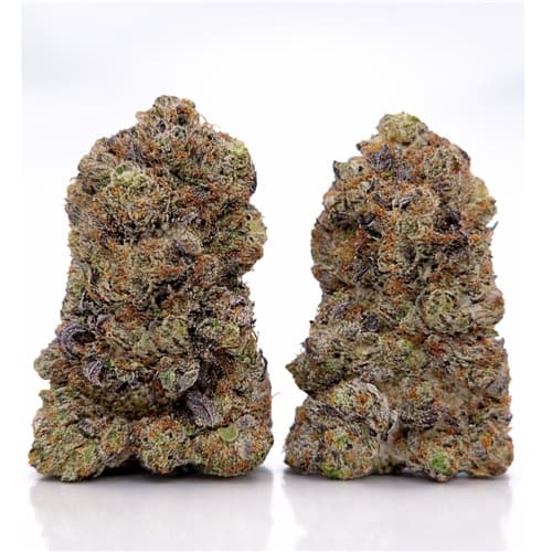 Godzilla Kush