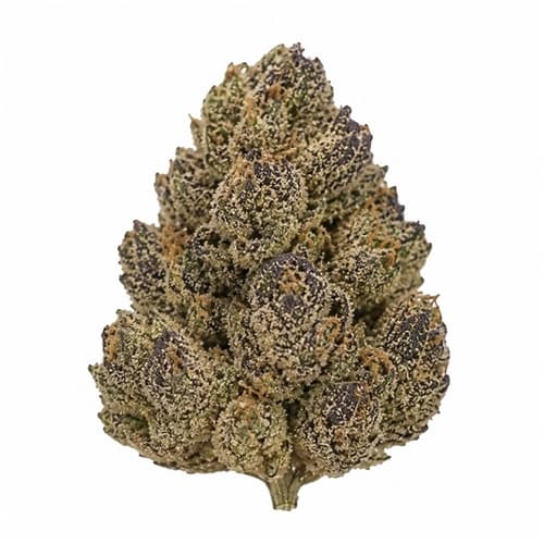 Ice Cream Cake 3.5g - Image 1