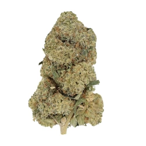 28g cherry pie Default - Image 1
