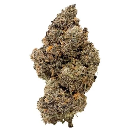 Jungle Diamond