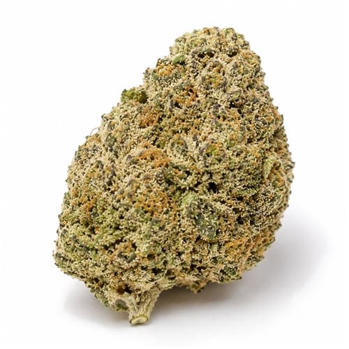 Pink Moonshine 3.5 - Image 1