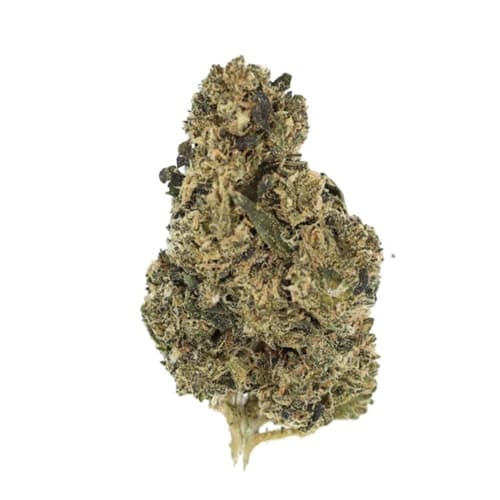 28g Gorilla Glue