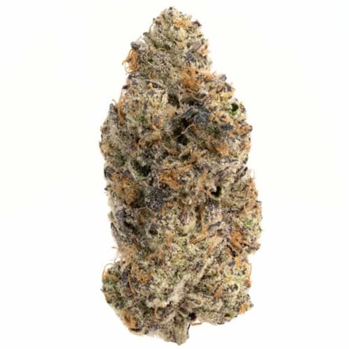 Utopia Haze
