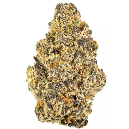 Gassy Runtz 7g - Image 1