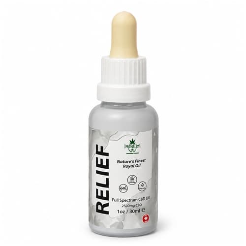 Relief 2500mg CBD Oil Default - Image 1