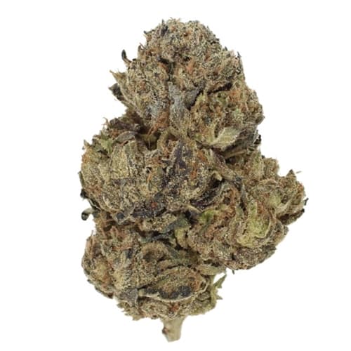 Slurricane 28g