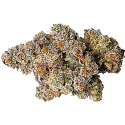 Gelato 33