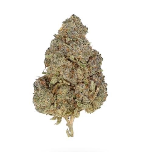 28g gas mask
