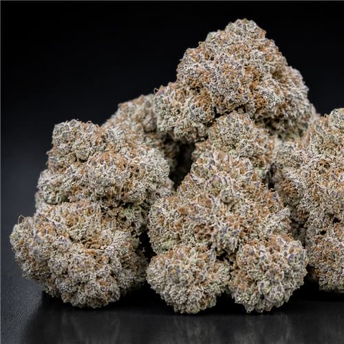 Iceman OG